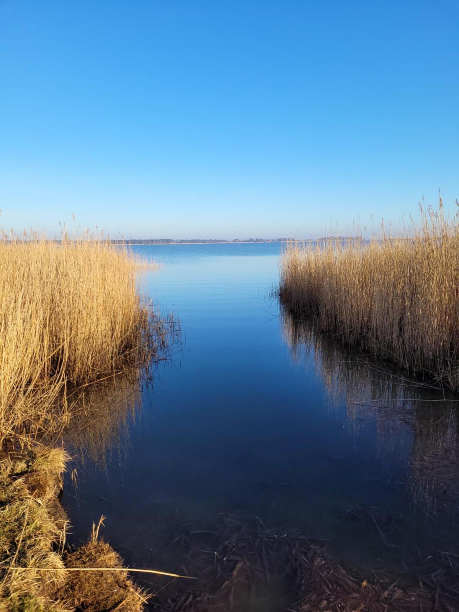 Вилла Urlaub Unterm Reetdach Auf Dem Darss Fuhlendorf  Экстерьер фото